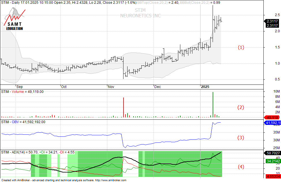 STIM overview STIM Neuronetics volume accumulation